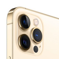 Apple iPhone 12 Pro Max (A2412) 256GB 金色 支持移动联通电信5G 双卡双待手机