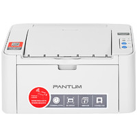 亲子会员：PANTUM 奔图 P2206NW 黑白激光打印机