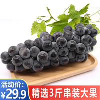 云南新鲜夏黑葡萄 无籽葡萄 新鲜水果葡萄提子 3斤装