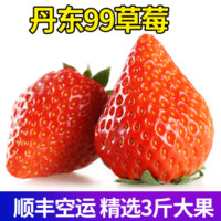 京东PLUS会员：丹东99红颜奶油草莓 大草莓3斤 顺丰空运