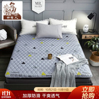 种棉人 床垫床褥家纺 四季可用双人轻薄床垫保护垫子 可折叠床褥子1.5米 150*200cm 三角人生