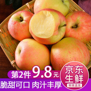 鲜菓篮 苹果水果现摘脆甜苹果红富士苹果 嘎啦苹果5斤果园鲜果 *2件