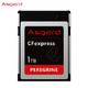 Asgard 阿斯加特 AC1TNVMe-CFTB 高级单反相机内存卡 1TB