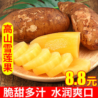 薯家上品 云南天山雪莲果3斤/5斤/9斤 红泥黄心菊薯应季新鲜现挖水果