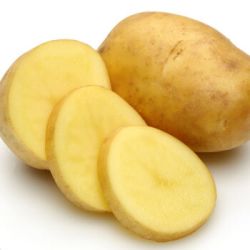 约巢起土豆马铃薯洋芋黄心精品土豆现挖现发新鲜蔬菜批发十斤装特号单