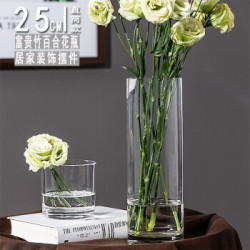 透明花瓶 盛世泰堡花瓶北欧富贵竹百合透明水培玻璃插花器酒店玄关客厅餐厅装饰摆件直桶款25cm多少钱 什么值得买