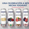 Danone Mexico – Hecha Yogurt（墨西哥）
