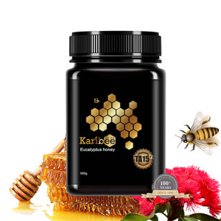 可瑞比（Karibee） 澳洲原装进口麦卢卡级 桉树蜜TA15+ 天然活性蜂蜜500g *4件