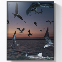 PICA Photo 拾相记 贝努瓦·帕耶 Benoit Paillé《海鸟与海豚》30x33cm