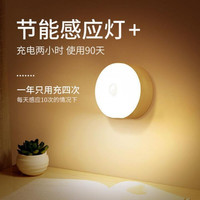 虔生缘 充电led节能小夜灯充电款 2个装