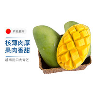 越南进口大青芒 5斤装 单果重500g  新鲜水果当季青皮芒果包邮
