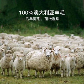 YANXUAN 网易严选 轻奢睡感高品质全棉100%澳洲进口羊毛被