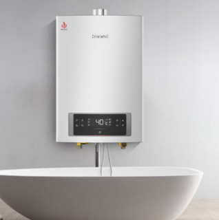 Rinnai 林内 16E66FHF-100A 燃气热水器 16L 天然气（12T）