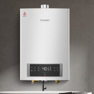 Rinnai 林内 16E66FHF-100A 燃气热水器 16L 天然气（12T）