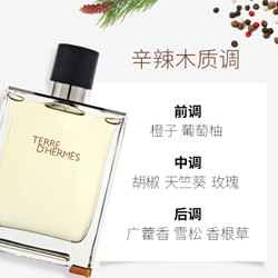 HERMÈS 爱马仕 大地男士淡香水 EDT 50ML *2件