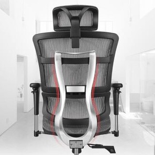 Ergoup有谱  ZY 电脑椅 人体工学椅 办公椅 黑框灰网(豪华版)