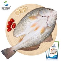 仙泉湖 去斑点尾鲈鱼 500g *10件