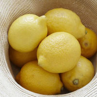 四川安岳新鲜柠檬果 10个20个2斤5斤装 生鲜水果黄柠檬多规格
