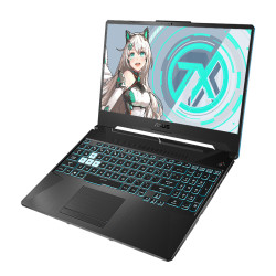 ASUS 华硕 天选 15.6英寸游戏本(R9-4900H、16GB、512GB、RTX2060)