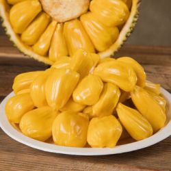 精选黄肉菠萝蜜1822斤