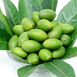 福州特产青橄榄3斤装