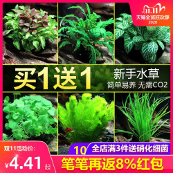 水草鱼缸 鱼缸活体水草植物趴地真草阴性水培懒人水榕无土增氧坨草造景套餐多少钱 什么值得买