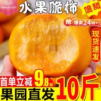 脆柿子水果新鲜5斤当季整箱包邮应季现摘大果甜柿火晶黄硬柿子10