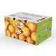 杨氏赣南脐橙 鲜橙子 精选3kg装礼盒装 单果210g起 新生鲜水果 *3件