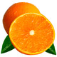 爱媛38号果冻橙柑橘 橘子桔子 3kg礼盒装  单果130g以上 新鲜水果 *3件