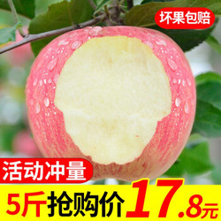 甜果源 陕西红富士苹果 新鲜水果脆甜糖心丑苹果 5斤装