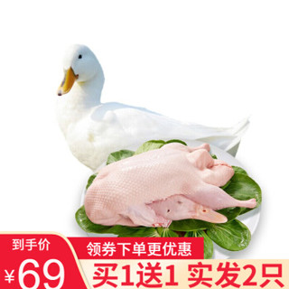 芮瑞 鸭子肉 净重约900g*2只