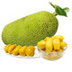 海南黄肉菠萝蜜新鲜水果 当季三亚热带黄心波罗蜜假榴莲 爆甜 次果--2-5斤--基本没有果