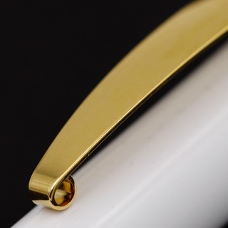 Schneider 施耐德 167801 钢笔 0.5mm 明尖 金色年华黑