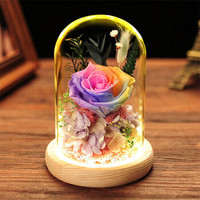 自生草 创意礼物玫瑰永生花玻璃罩礼盒（真花） 适合做生日礼物送女友/爱人