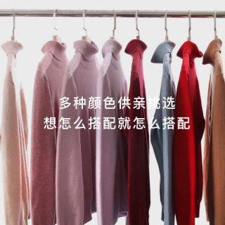 春竹毛绒衫山羊绒半高领圆V领针织打底衫 DWS91709