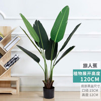 时光旧巷 植物仿真绿植假花盆栽 1.2m旅人蕉【热卖特惠款】