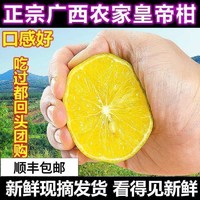 正宗皇帝柑贡柑橘子新鲜水果现摘5斤大果