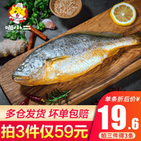 喵小二 新鲜活冻黄花鱼海鲜水产 300-400g 1条  冷冻大黄鱼