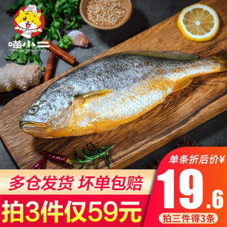 喵小二 新鲜活冻黄花鱼海鲜水产 300-400g 1条  冷冻大黄鱼