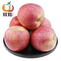 【雷动拼购】陕西膜袋苹果 丑苹果 当季水果 口感脆甜 单果75mm+ 膜袋富士带箱5斤