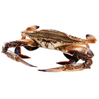 味库京选 梭子蟹 300-400克/只 3斤 螃蟹 鲜活发出冰鲜到家 膏蟹只只有黄 大螃蟹 海鲜水产