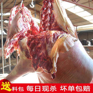 （超实惠500g）驴肉新鲜现杀河北特产不驴肉火烧新鲜生驴肉 超值款：1斤装