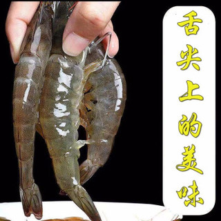 （11-13cm）鲜活海捕大虾对虾海鲜基围虾明虾青虾白虾海虾冻虾 特惠4斤装