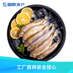 国联 东海国产小黄鱼1.2kg 24-32条 深海鱼类 产地直供 生鲜 海鲜水产 *3件