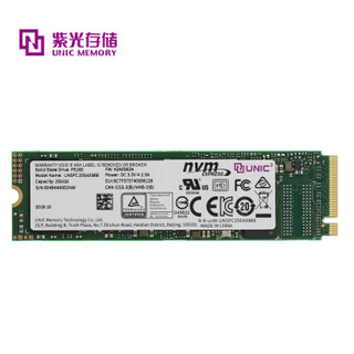 紫光存储 256GB SSD固态硬盘P5160系列M.2接口PCIE3.0X4（NVME协议 带DRAM独立缓存）企业级颗粒 五年质保