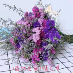 勿忘我干花 花束勿忘我大束永生花紫玫粉 情人草10支 什么值得买 勿忘我干花 花束勿忘我大束永生花紫玫粉 情人草10支 什么值得买