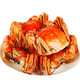 蟹爵公母对装鲜活大闸蟹现货实物螃蟹礼盒 （公3.2-3.5两母2.2-2.5两）4对