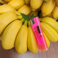 广西小米蕉香蕉水果 批发10斤/5斤装当季新鲜水果 5斤泡沫箱装
