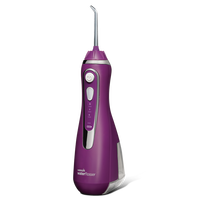 waterpik 洁碧 小蛮腰系列 GS9-52 便携式冲牙器 魅力紫