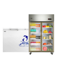 AUCMA 澳柯玛 冰柜展示柜套装 BC/BD-447SH冷柜447L+VC-880D展示柜895L